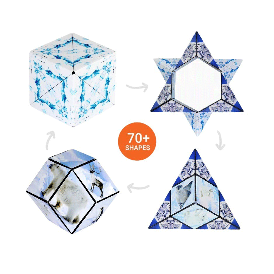 SHASHIBO Shape Shifting Fidget Cube - Wild Series - Shape examples