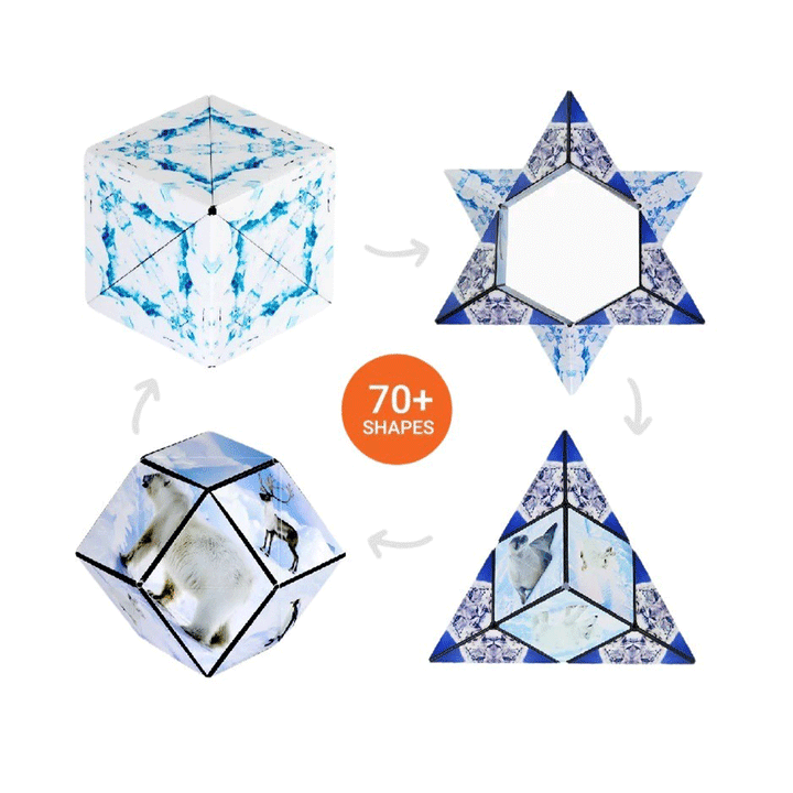 SHASHIBO Shape Shifting Fidget Cube - Wild Series - Shape examples