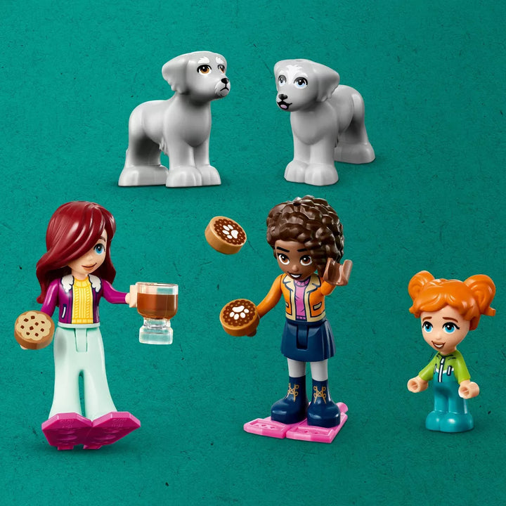LEGO Friends Igloo Holiday Adventure Building Set (41760) - Display