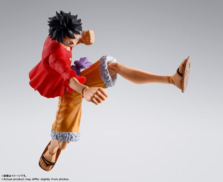 TAMASHII NATIONS - One Piece - Bandai Spirits S.H.Figuarts Action Figures
