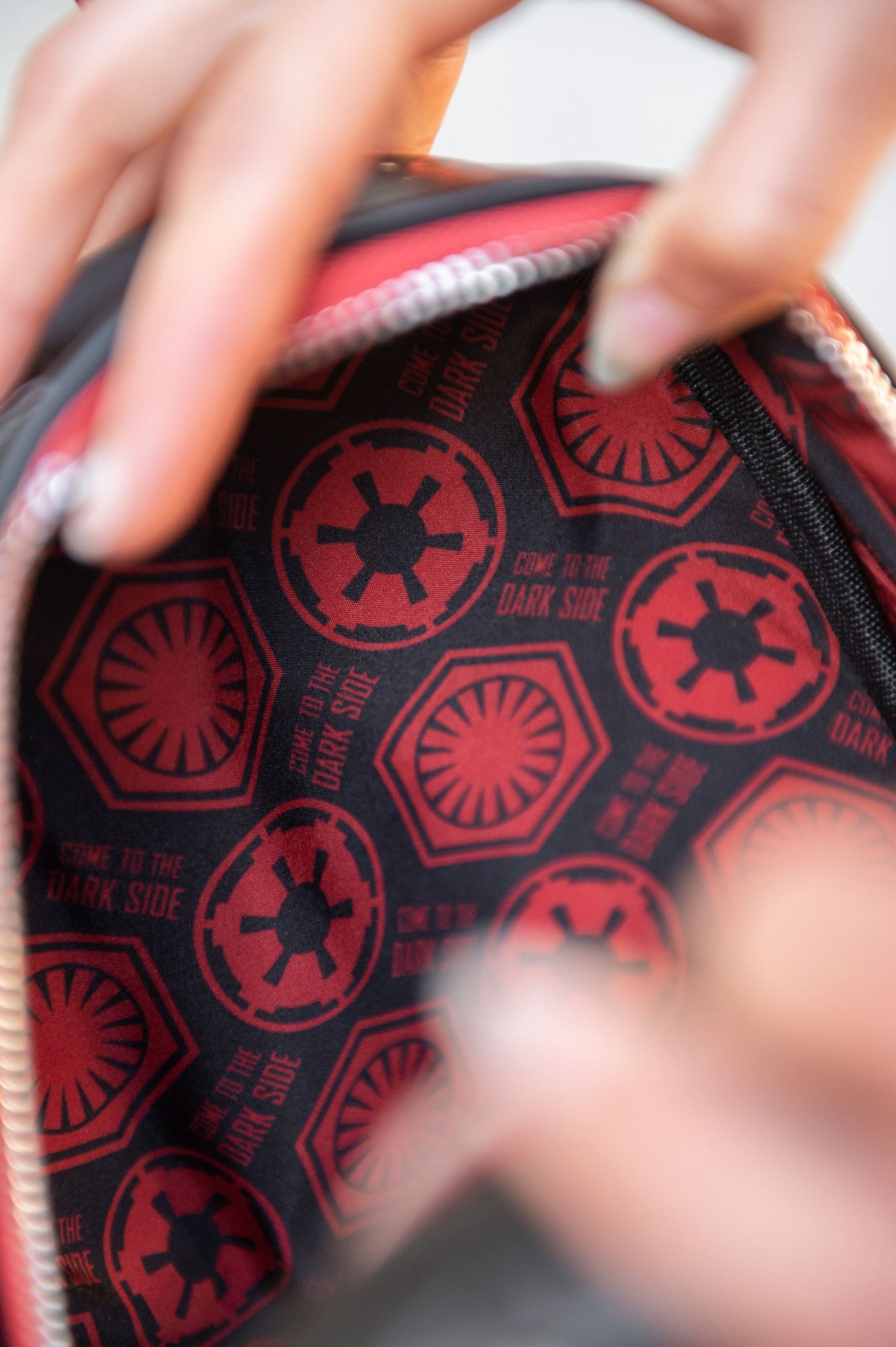 707 Street Exclusive -  Loungefly Star Wars Sith Villains Backpack - IRL Interior