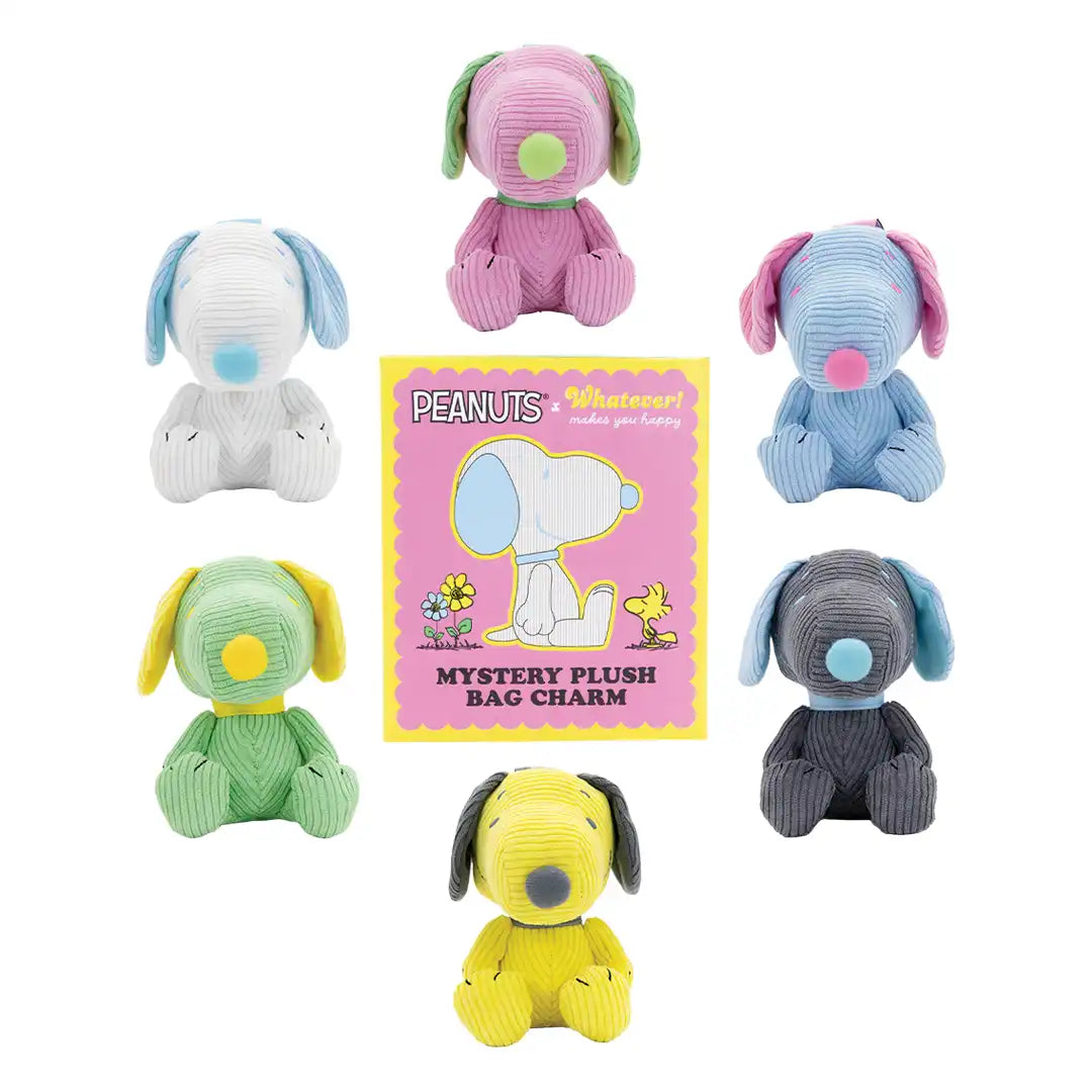 Whatever Makes You Happy Peanuts Sherbert Spring Mystery Box Corduroy Plush Bag Charms