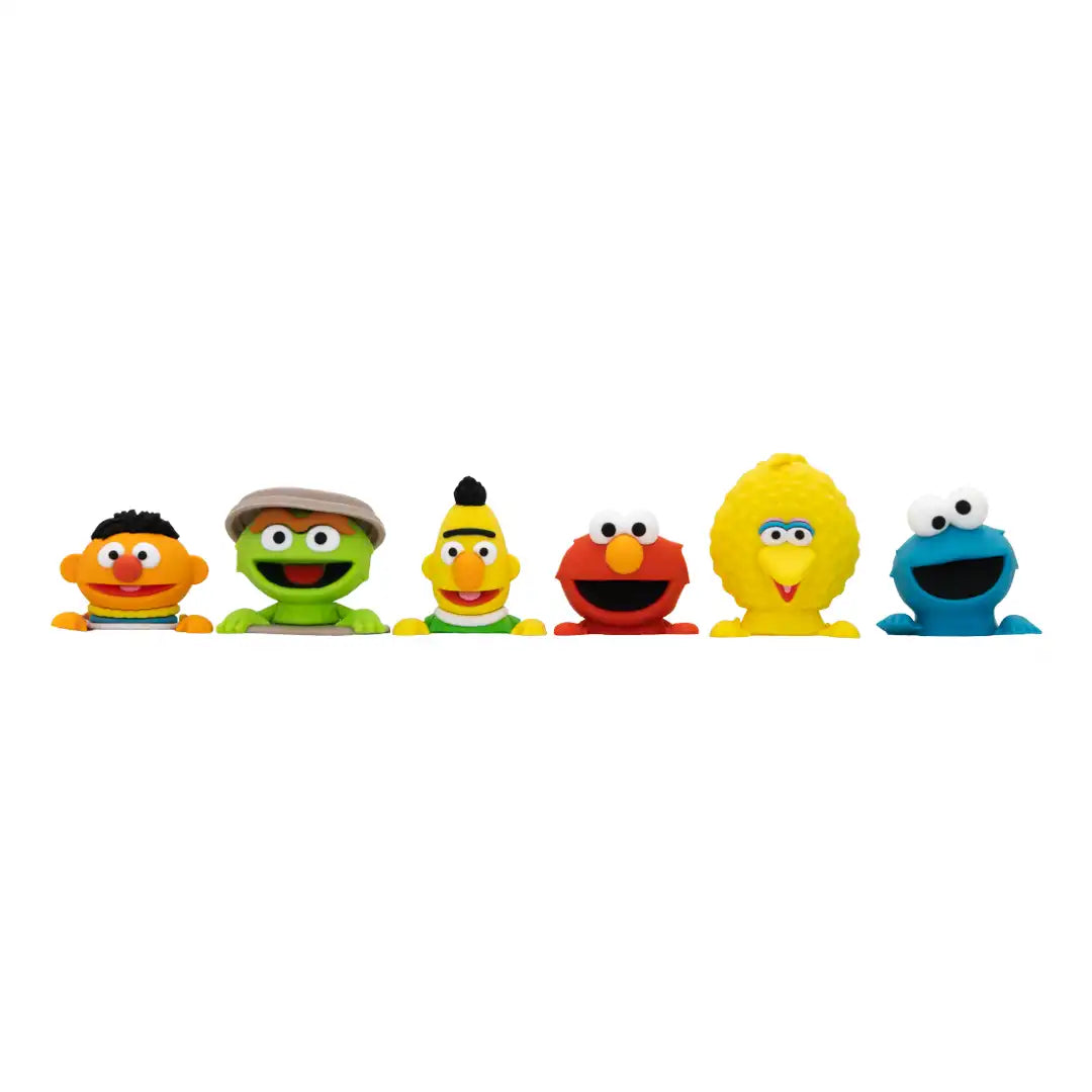 Whatever Makes You Happy Sesame Street Mystery Box Phone Buddies