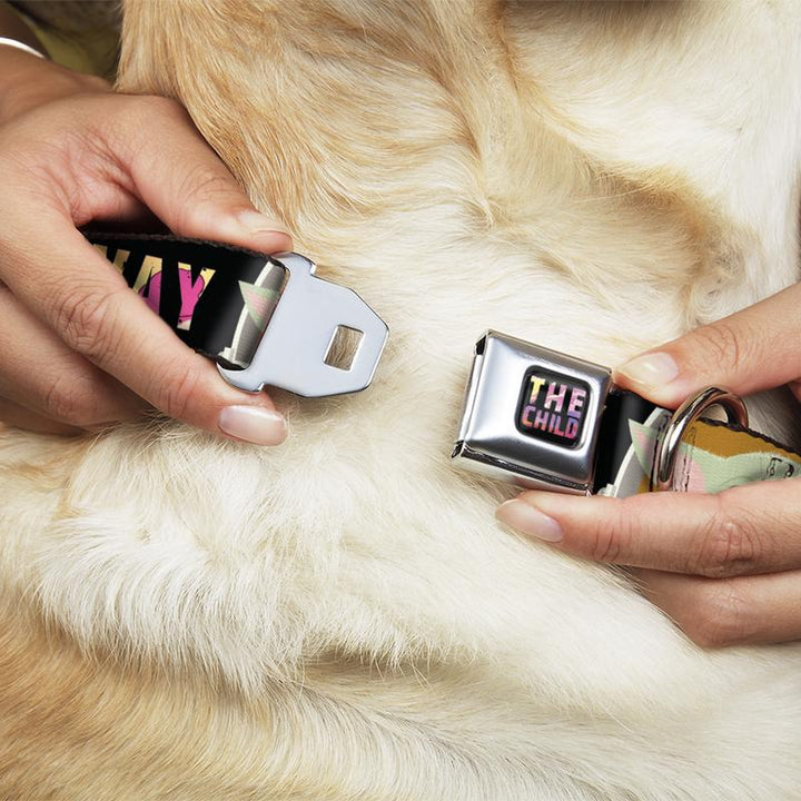Star Wars The Child Text - Multicolor Buckle-Down Dog Collar