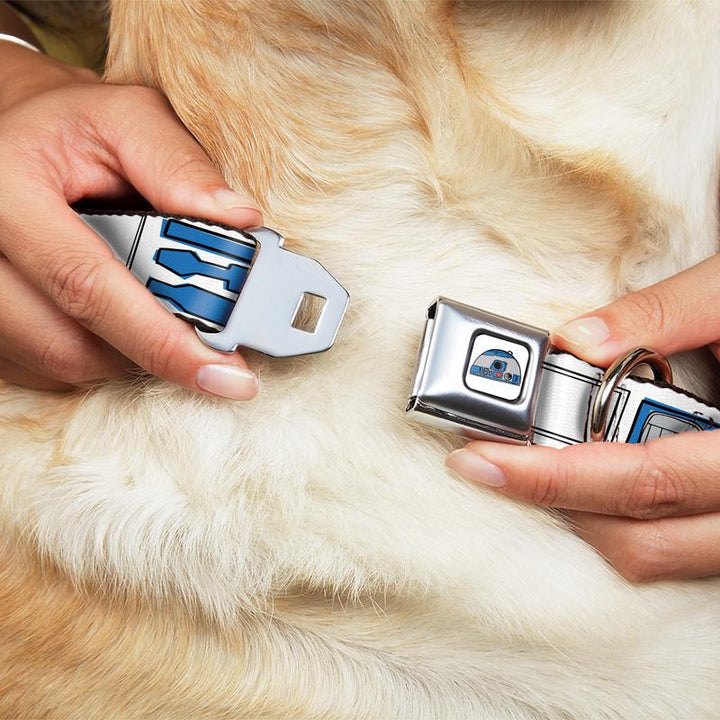 Star Wars R2-D2 Head - White/Blue Buckle-Down Dog Collar