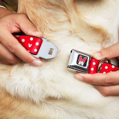 Disney Minnie Mouse with Bow - Polka Dot Red/White Buckle-Down Dog Collar