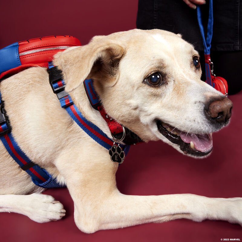 Loungefly Pets Marvel Spider Man Dog Collar - Lifestyle