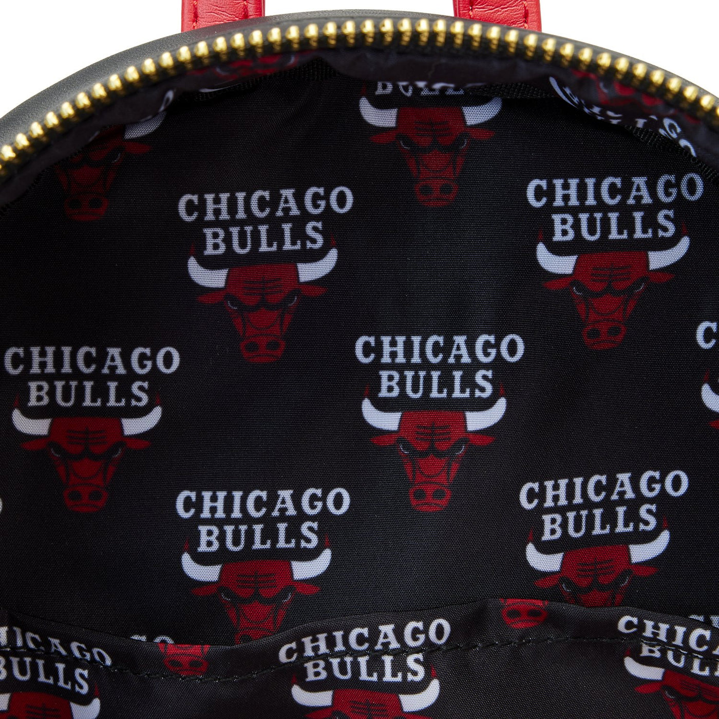 671803451780 - Loungefly NBA Chicago Bulls Patch Icons Mini Backpack - Interior Lining