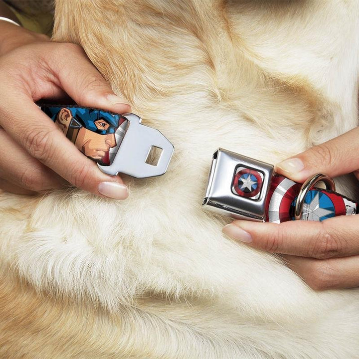Marvel Captain America Shield 2 -Buckle-Down Dog Collar