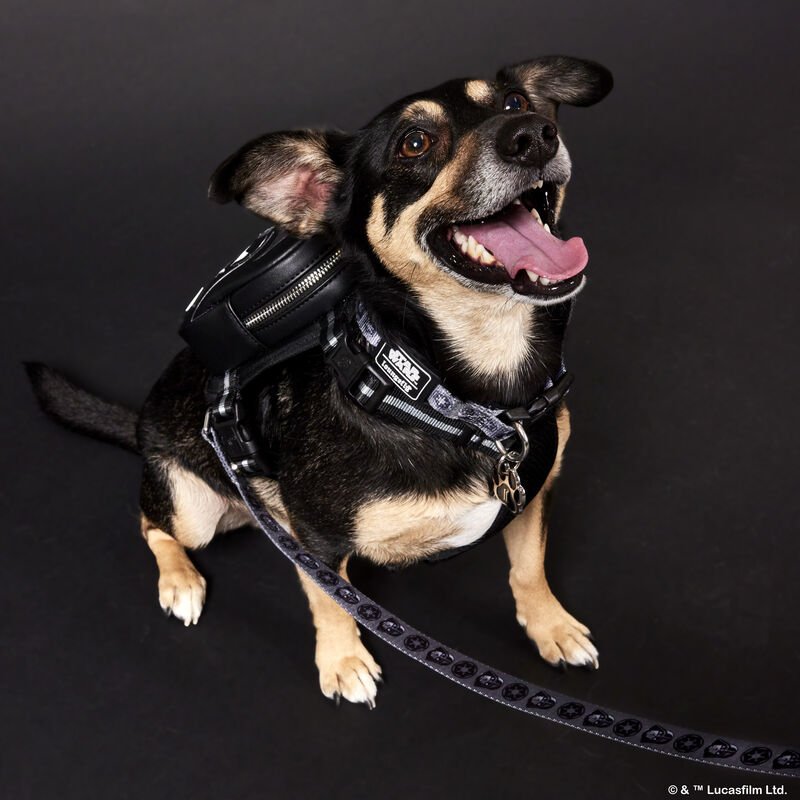 Loungefly Pets Star Wars Darth Vader Dog Collar - Styled